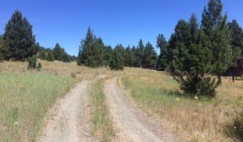 0 Adam Rd, Canyon City, OR 97820
