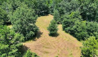 568 COUNTY ROAD 15 Lot 1, Autaugaville, AL 36003