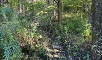 Lynch Road, Alfred, NY 14806