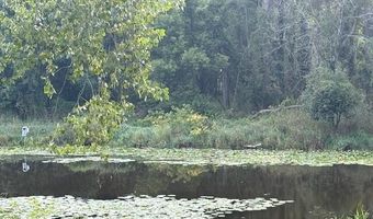 27 Mile Rd, Albion, MI 49224