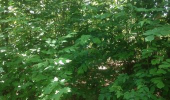72-2 Frohock Brook Rd, Alton, NH 03810