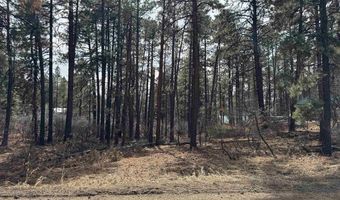 102 E Valley View Dr, Bayfield, CO 81122