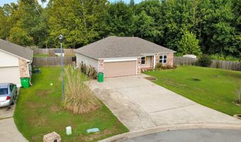 246 Plum Dr, Austin, AR 72007
