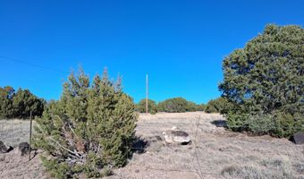 22 N 8171, Concho, AZ 85924