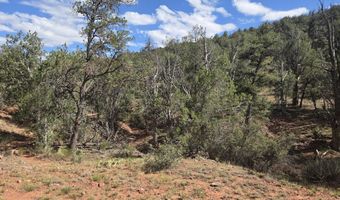 444 445 S Arizona Rd, Ash Fork, AZ 86320