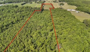 127 Nicodemus Kornegay Ln, Albertson, NC 28508