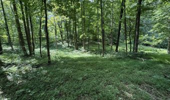 Lot 20 Newpointe Subdivision, Albany, KY 42602