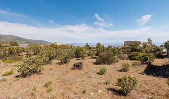 52 Birch Spring Rd, Cold Creek, NV 89124