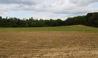 0 County Road 259, Advance, MO 63730