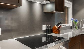 100 N Eighth St 3, Aspen, CO 81611