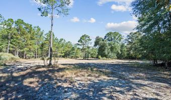 7901 Ashleigh Rd, Blackville, SC 29817