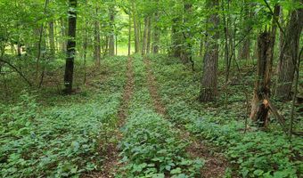 65 Acres 107th Ave, Allegan, MI 49010