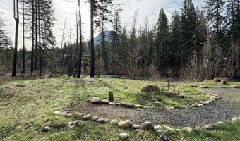 54480 McKenzie River Dr, Blue River, OR 97413