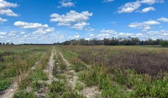 15 Acres Antioch Church Rd, Ashford, AL 36312