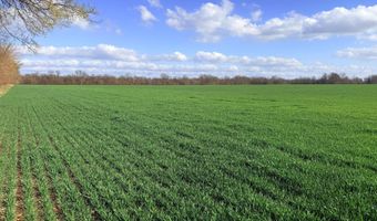 0001 CR-290, Asbury, MO 64832