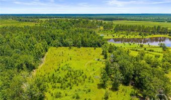 762 Old McLeod Bridge Rd, Adrian, GA 31002