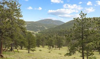 839 Ski Rd, Allenspark, CO 80510