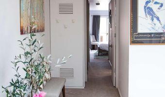 210 E Cooper Ave 3E, Aspen, CO 81611