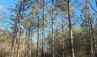 K-57 Hwy 94, Apple Springs, TX 75926