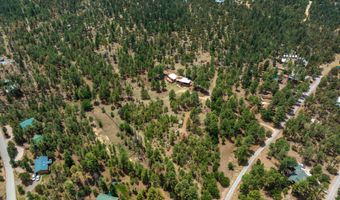 211 Mogul Rd, Alto, NM 88312