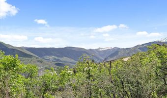 2227 Juniper Hill Rd, Aspen, CO 81611