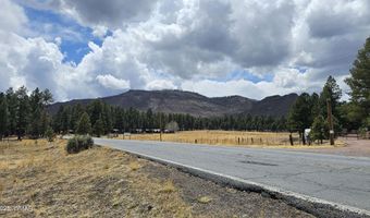 15 County Road 2065, Alpine, AZ 85920