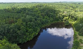 0-51 Acres Mountain Cut Rd, Appomattox, VA 24522