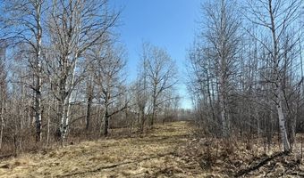 35504 Jackson Rd, Askov, MN 55704