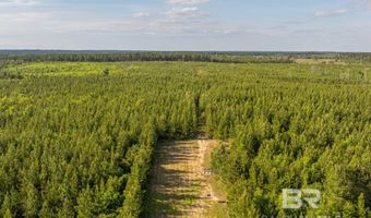 Flowers Road, Bay Minette, AL 36507
