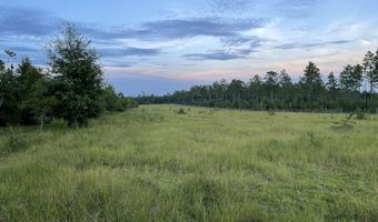 A-1 Long Branch Farm Road, Baker, FL 32531