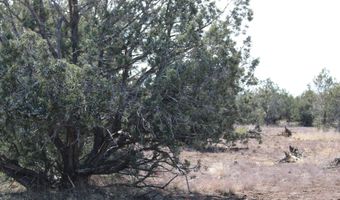 5079 N Pineveta Rd, Ash Fork, AZ 86320