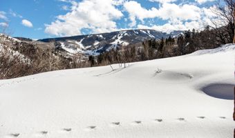 312 Holden, Beaver Creek, CO 81620