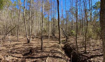 Adams Road - 1 & 2, Bankston, AL 35542