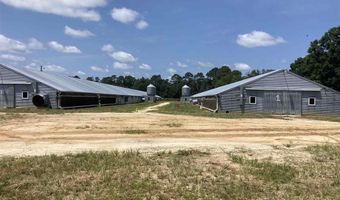 4568 Screw Pin Rd, Blenheim, SC 29516