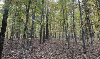 County Road 113 lot 3, Alton, MO 65606