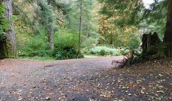 71868 NORTHSHORE Dr, Birkenfeld, OR 97016