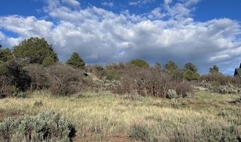 Lot 15 Primrose Lane, Bayfield, CO 81122