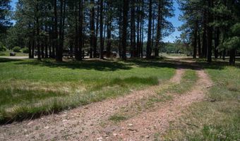 Cimarron Trail lot 551, Angel Fire, NM 87710