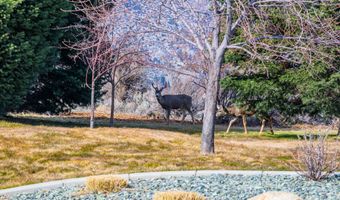 240 Forest Hill Way, Gardnerville, NV 89460