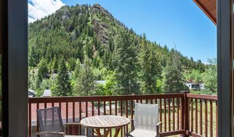 503 W Main St B202, Aspen, CO 81611
