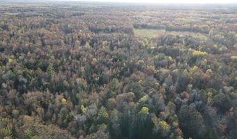 V/L Wildwood Road lot 9, Alger, MI 48610