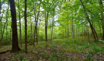 State Route 550, Amesville, OH 45711