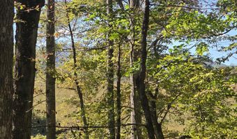 HURT HOLLOW RD, Banco, VA 22711