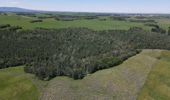 N 4600 E, Ashton, ID 83420