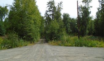 15032 W Necrason Dr, Big Lake, AK 99652