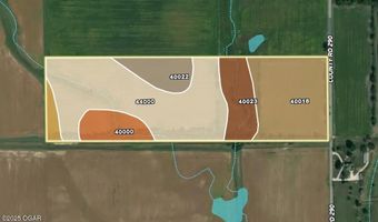 290 CR, Asbury, MO 64832