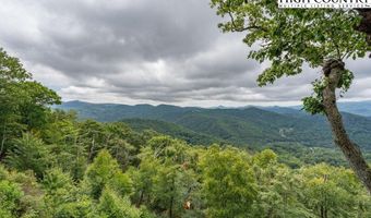 ES71 Twisted Oak Path, Banner Elk, NC 28604
