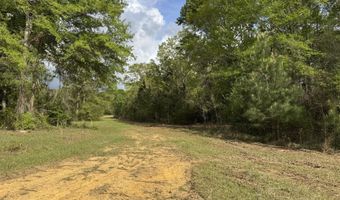 1203 Love St, Brookhaven, MS 39601