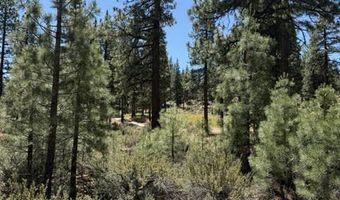 195 Walton Toll Rd Lot 210, Carson City, NV 89705
