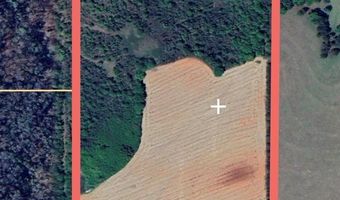County Road 91, Banks, AL 36005